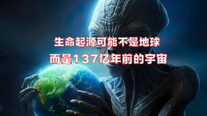 IM电竞官网 - 专业电竞投注平台注册登录送体验金用户注册协议